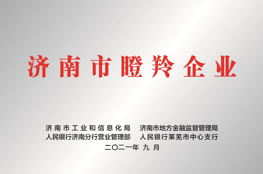 濟(jì)南市瞪羚企業(yè)